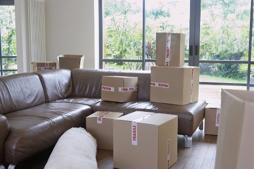 Two movers carrying boxes and household items in Woolwich