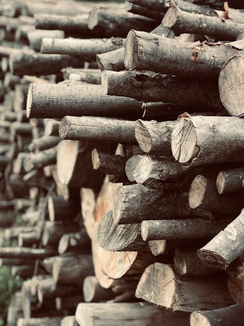 A large stack of cut logs arranged horizontally, showing the circular cross-sections and rough, textured surfaces of the wood. The logs vary in diameter and are stacked in an organized manner, with some logs featuring visible bark and others revealing the pale, smooth inner wood. The natural wood tones range from light beige to darker brown shades. The logs are positioned outdoors, with some logs extending beyond the edges of the image, and the background suggests a natural or rural environment. This scene is relevant to the logistics involved in home relocation and furniture transport services, as provided by Man with Van Woolwich, especially when planning furniture loading, packing, and efficient use of space during moving processes.